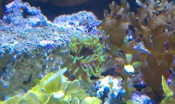 IMAG0820.webp