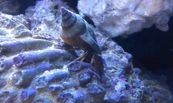 IMAG0827.webp