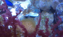 IMAG0828.webp