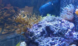 IMAG0829.webp