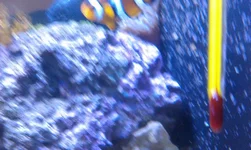 IMAG0832.webp