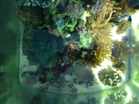 IMG_2207.webp