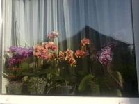 100520141339[1].webp