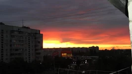 DSC01721.webp