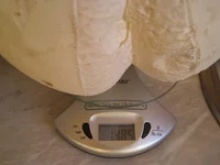 IMG_1133.webp IMG_1133.webp