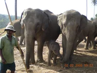DSCN0192.webp