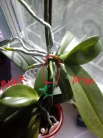 20140519_161628.jpg