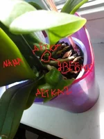 20140519_161723.webp