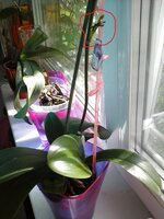 20140519_161735.jpg