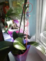 20140519_161735.webp