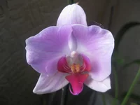 IMG_5865.jpg