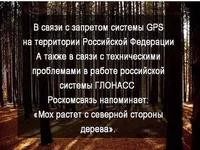 NNrf-FsGUq0.webp