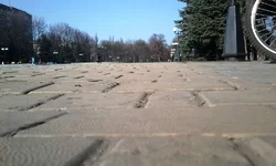 0097.webp