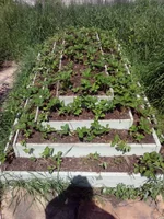 IMG_20140523_120216.webp