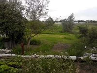 uploadfromtaptalk1400932038277.webp