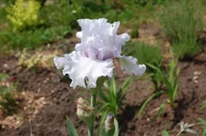 DSC_0017.webp