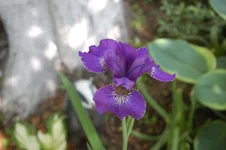 DSC_0067.webp