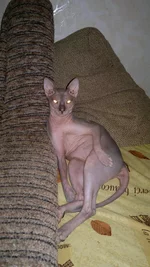 270520141354.webp