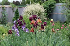 IMG_1196.webp