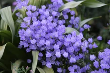 IMG_1273.webp