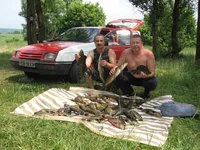 Тополя 07-11.JPG