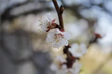 YuyiVdpiSY0.webp