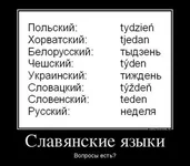 .webp