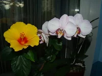 2014_05_35.webp