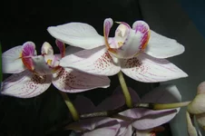 2014_05_42.webp