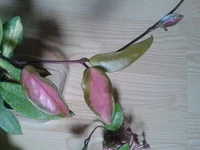 2014-05-29 15.32.06.webp