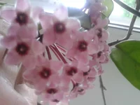 2014-05-30 16.22.41.webp