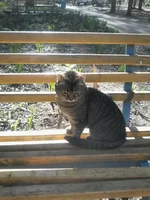 0015.webp