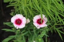 IMG_1345.webp