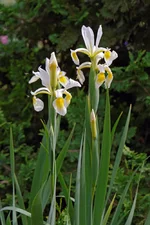 IMD_9968-w.webp