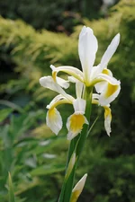 IMD_9973-w.webp