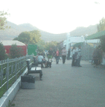 20134.gif