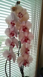 IMAG0416.jpg