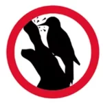 woodpecker_life.webp