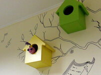 DSCN6815 1.jpg