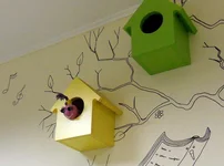 DSCN6815 1.webp