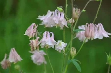 0_840a6_6cc79e8d_orig.webp