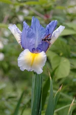 IMD_9999-06.06-w.webp