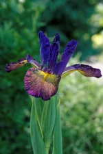 IMD_9989-06.06-w.webp