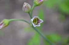 DSC_1328.webp