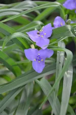 DSC_1326.webp