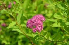 DSC_1321.webp