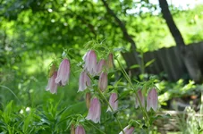 DSC_1314.webp