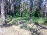 07062014720.jpg