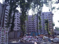 WP_001726.webp