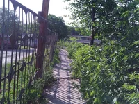 WP_001731.webp